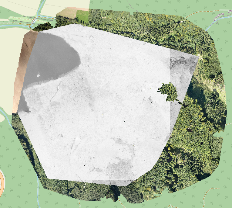 Layer with raster style