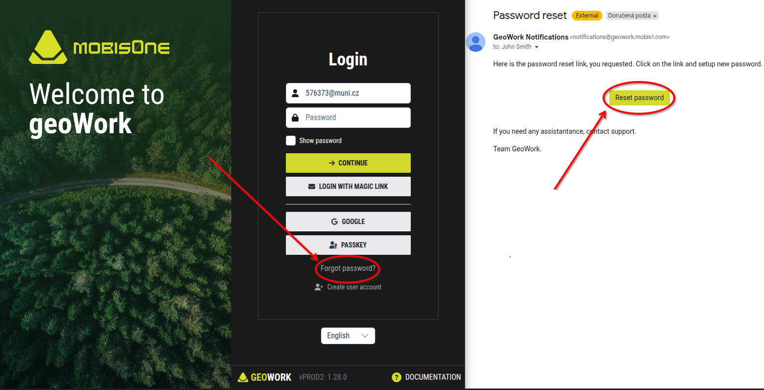 Password reset